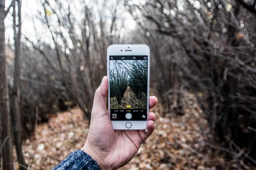 Singaporean Consumers And Digital Media